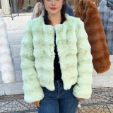 HOOOFUR Faux Fur Coat Women New Style Short Imitation Fur Plush Collarless Top Short Top 2024 Autumn and Winter Warm and Trend