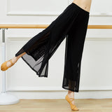 Modern Dance Pants For Women Mesh Nylon Loose Wide Leg Dancing Trousers Chinese Classical Dance Daily Ladies Yoga Pants