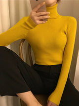 Women Autumn Winter Turtleneck Sweater Vintage Solid Basic Knitted Tops Casual Slim Pullover Korean Fashion Simple Chic Jumpers