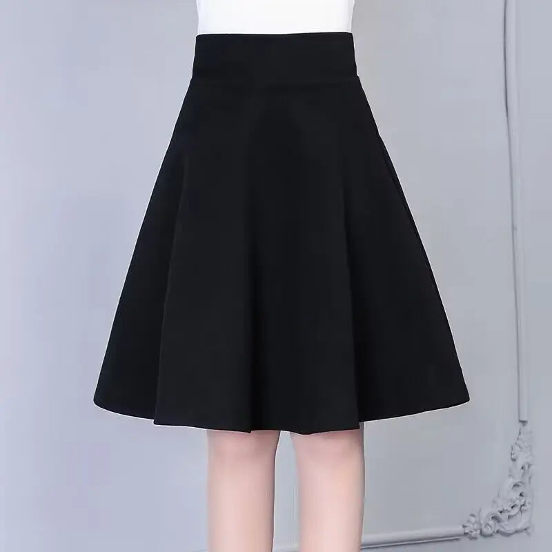 Winter Women Long Woolen Skirt Fashion High Waist Basic Wool Skirts Female Casual Thick Warm Elastic A-Line Maxi Skirts