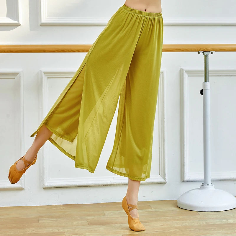 Modern Dance Pants For Women Mesh Nylon Loose Wide Leg Dancing Trousers Chinese Classical Dance Daily Ladies Yoga Pants