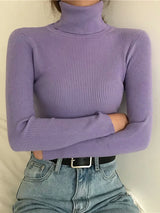 Women Autumn Winter Turtleneck Sweater Vintage Solid Basic Knitted Tops Casual Slim Pullover Korean Fashion Simple Chic Jumpers