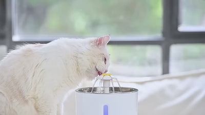 Automatic Cat Water Fountain